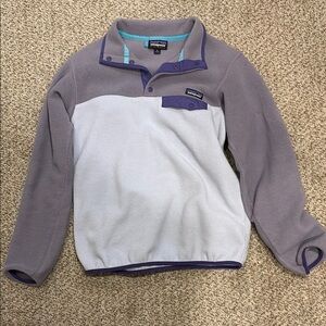 Patagonia Crewneck Sweater in Gray and Purple